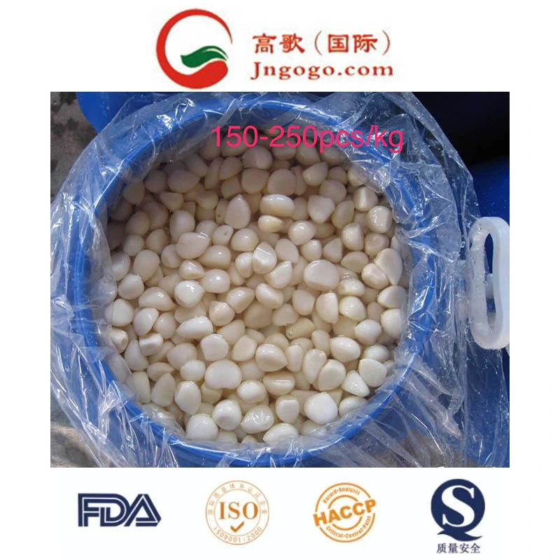 High quality/High cost performance  Garlic Cloves in Brine