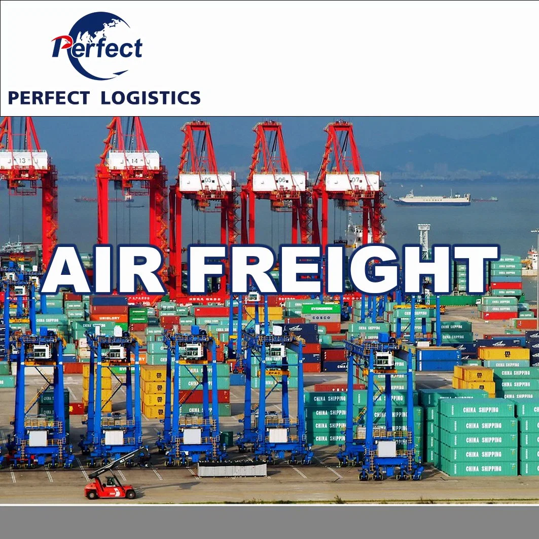 Alibaba/1688 Express, Shipping Agent From China to USA Canada Italy UK France Moxico UAE Oman Dubai Saudi Arabia by Air/Sea Freight