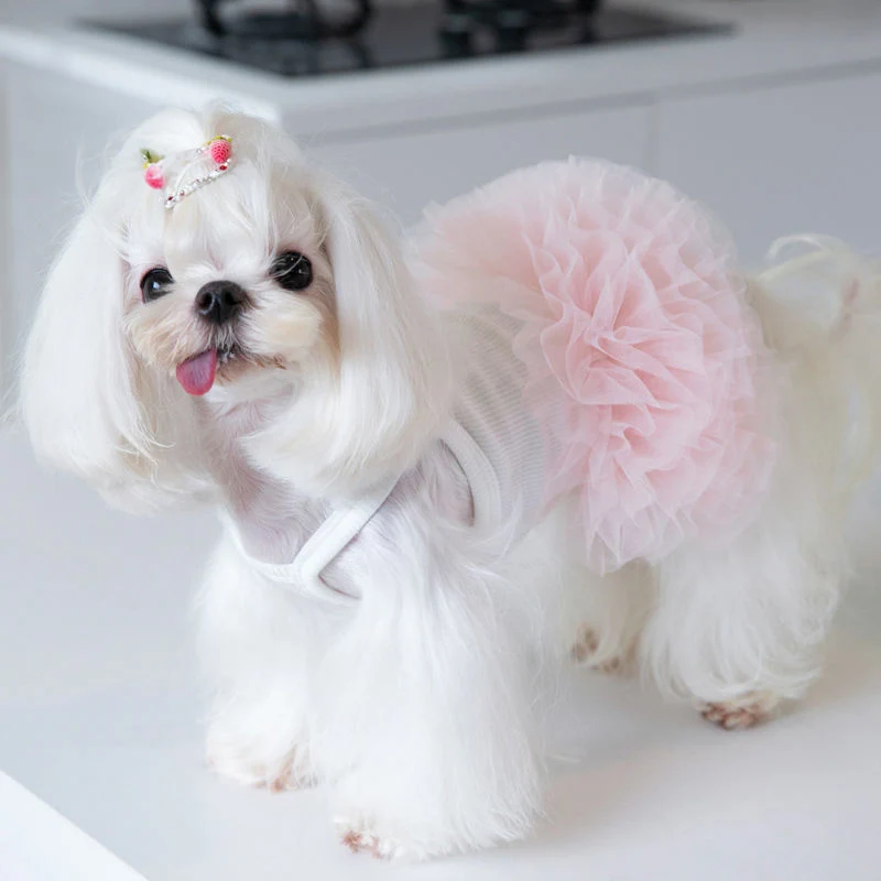 Newest Cute Dog Tutu Dress Spring Summer Pet Yan Dress Clothes