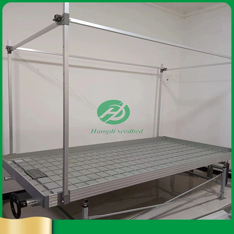 Direct Manufacturer Agriculture Commeicial Ebb and Flow Flood Tray Hydroponic Growing System Flow Rolling Table for Sale