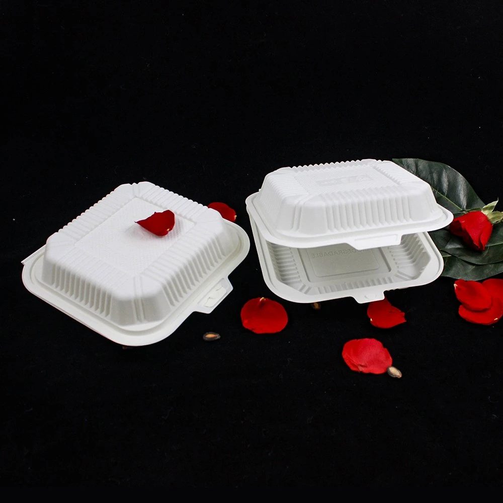 Food Container Food Grade Biodegradable Cornstarch Lunch Box for Takeaway