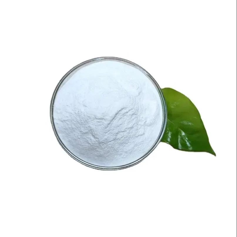 High Purity Hydroxypropyl Starch Ether/HPMC/Mhec/HEC/CMC Chemical Coating Auxiliary Agents