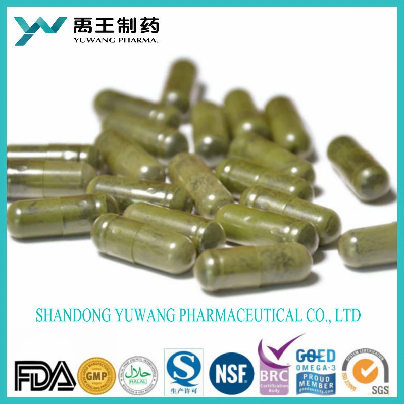 Brc/NSF Yuwang OEM Health Food Multi Plant Hard Capsule 1000mg in Bulk or in Bottle