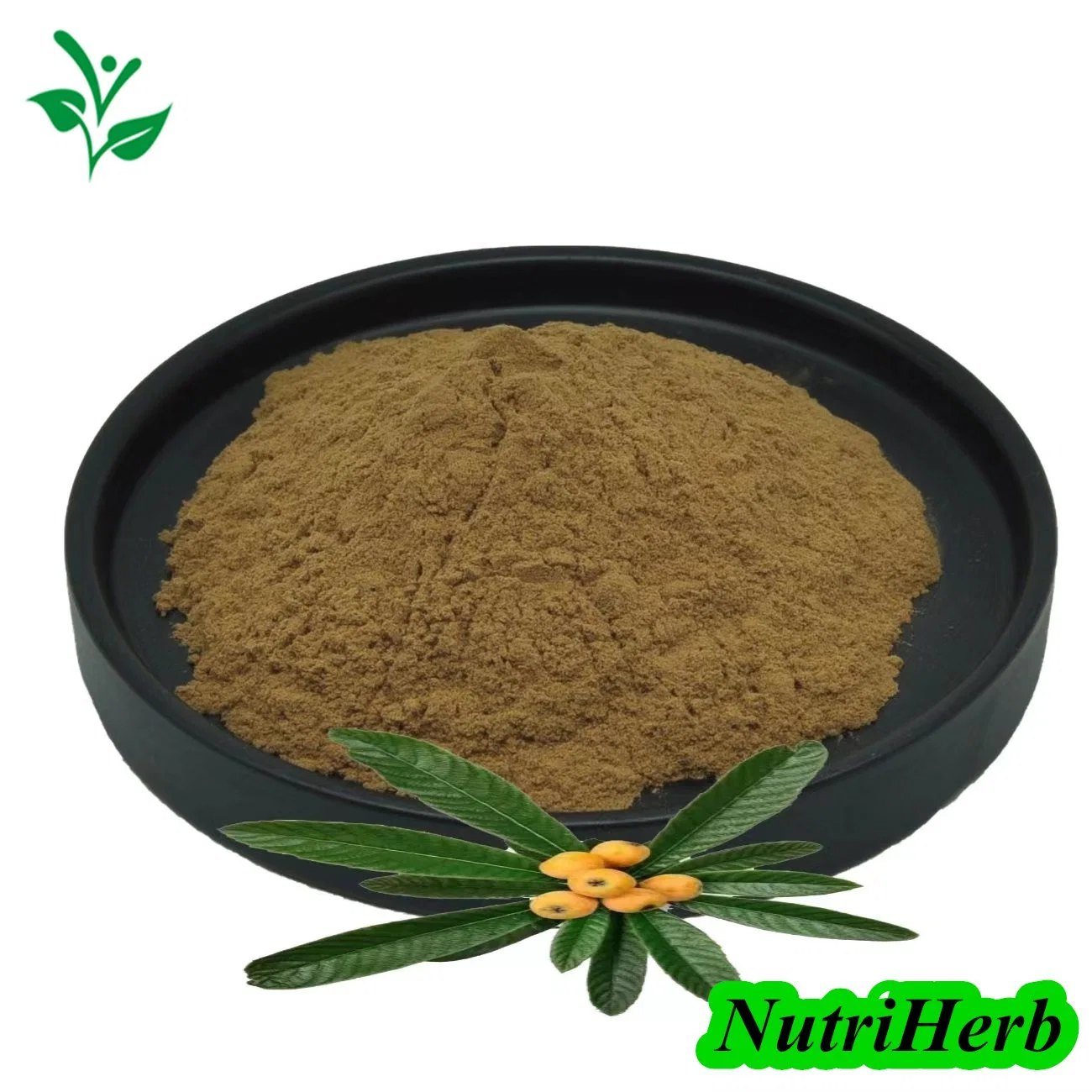 100% Natural Product Loquat Leaf Extract, Folium Eriobotryae Extract, 98% Ursolic Acid