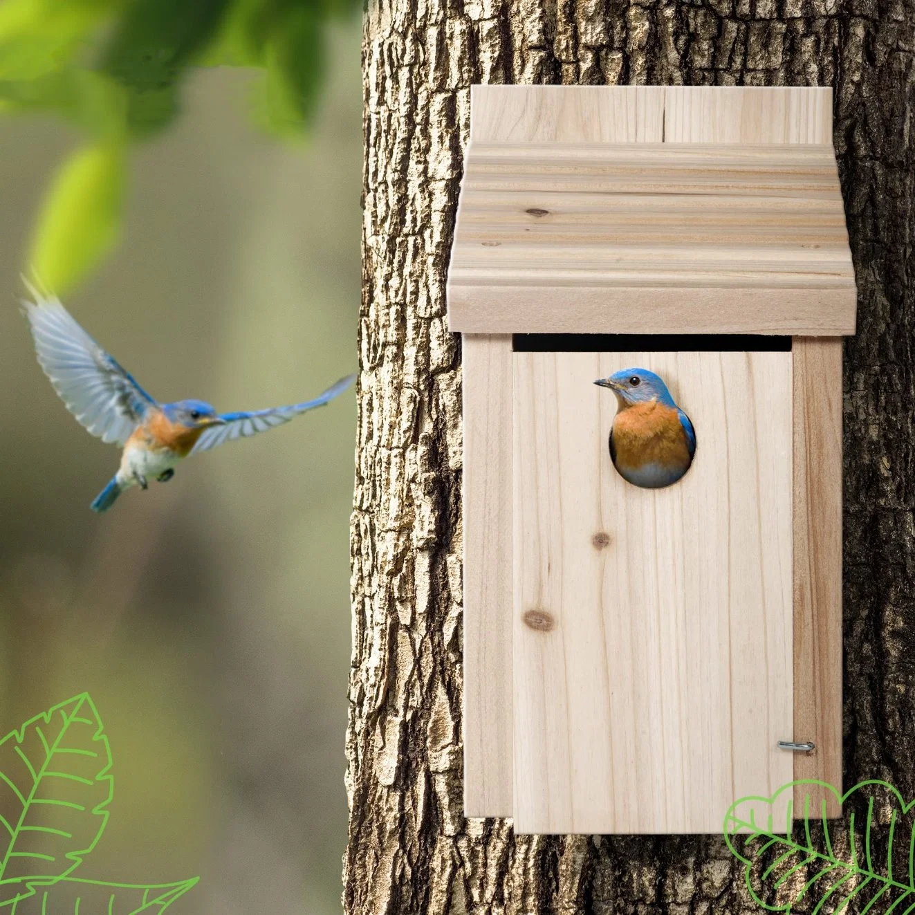 Bird Houses for Outside Cedar Bird Bluebird House with Secure Latch Fledgling Grooves