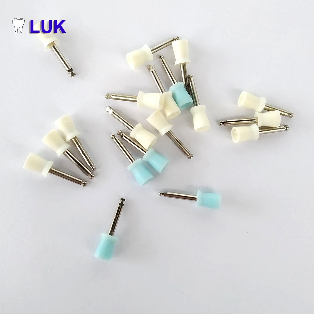 Hot Sale Dental Disposable Polishing Prophy Cup