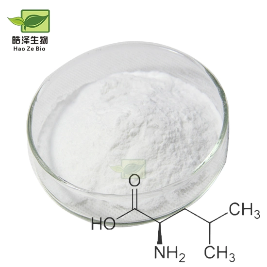 Bulk Leucine CAS 61-90-5 L-Leucine Powder