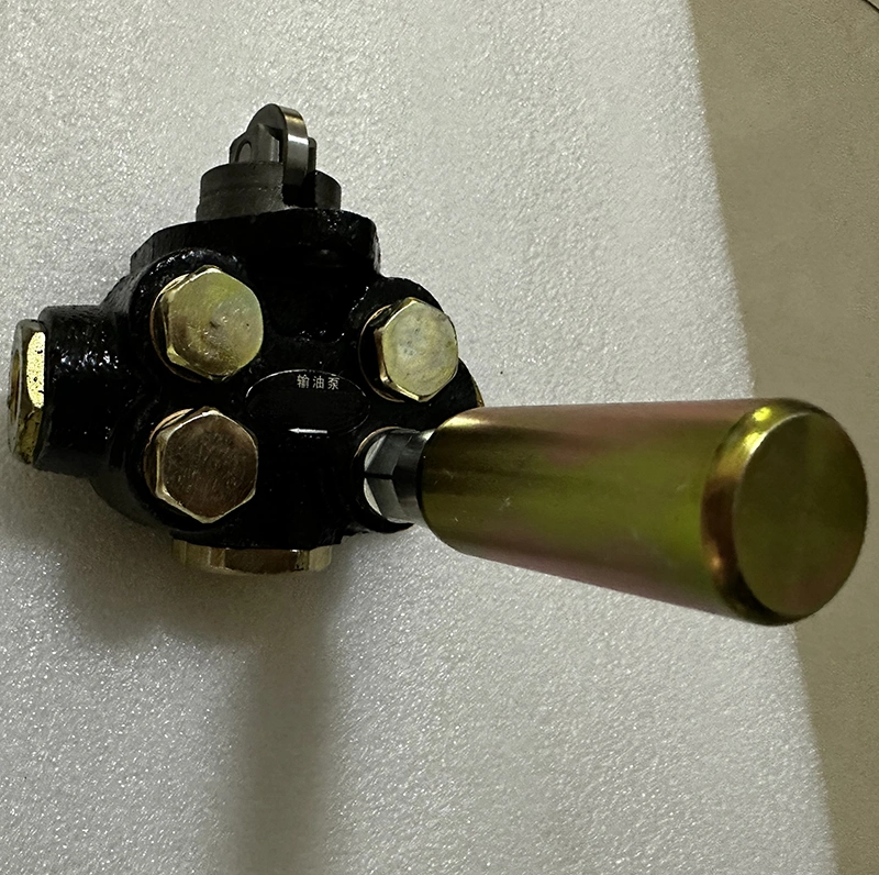 Las piezas del motor diesel de inyección de bomba de mano de PM6d200e201