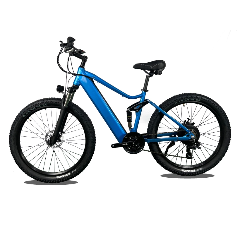 Electric Bike Aluminum Alloy 7 Speed 48V 750W Motor Bicycle Electric Bike with LED Display