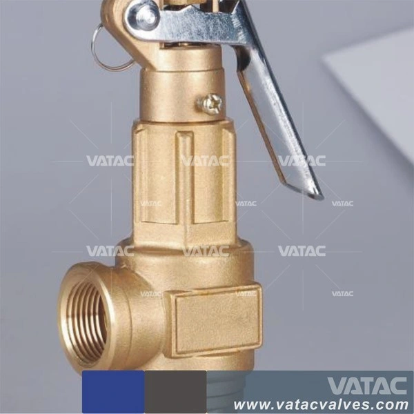 Bronze Thread/Screw Fnpt/Mnpt Spring Loaded Safety Valve