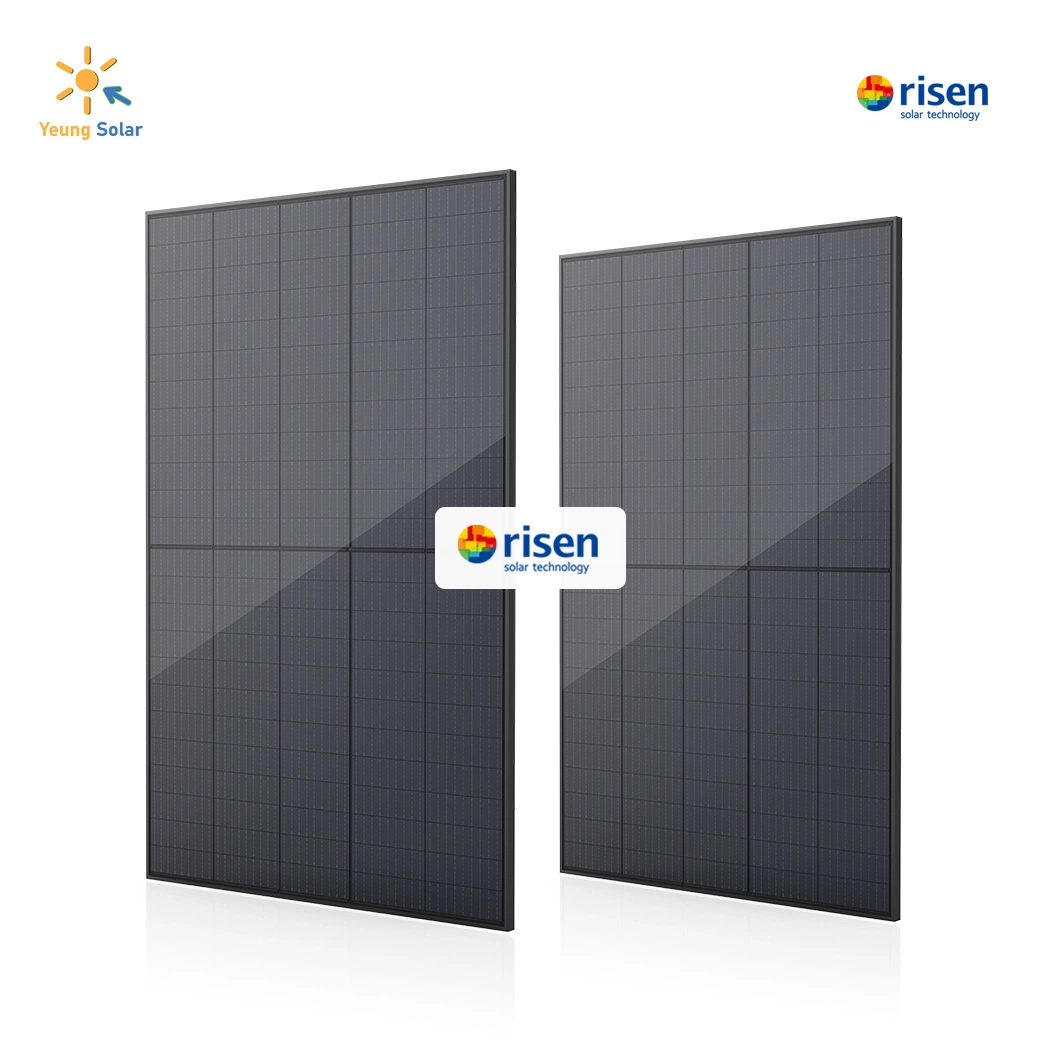 Tier 1 Risen All-Black/ Black Frame Mono Solar Panel Solar Module 385W 390W 400W 405W with CE/TUV