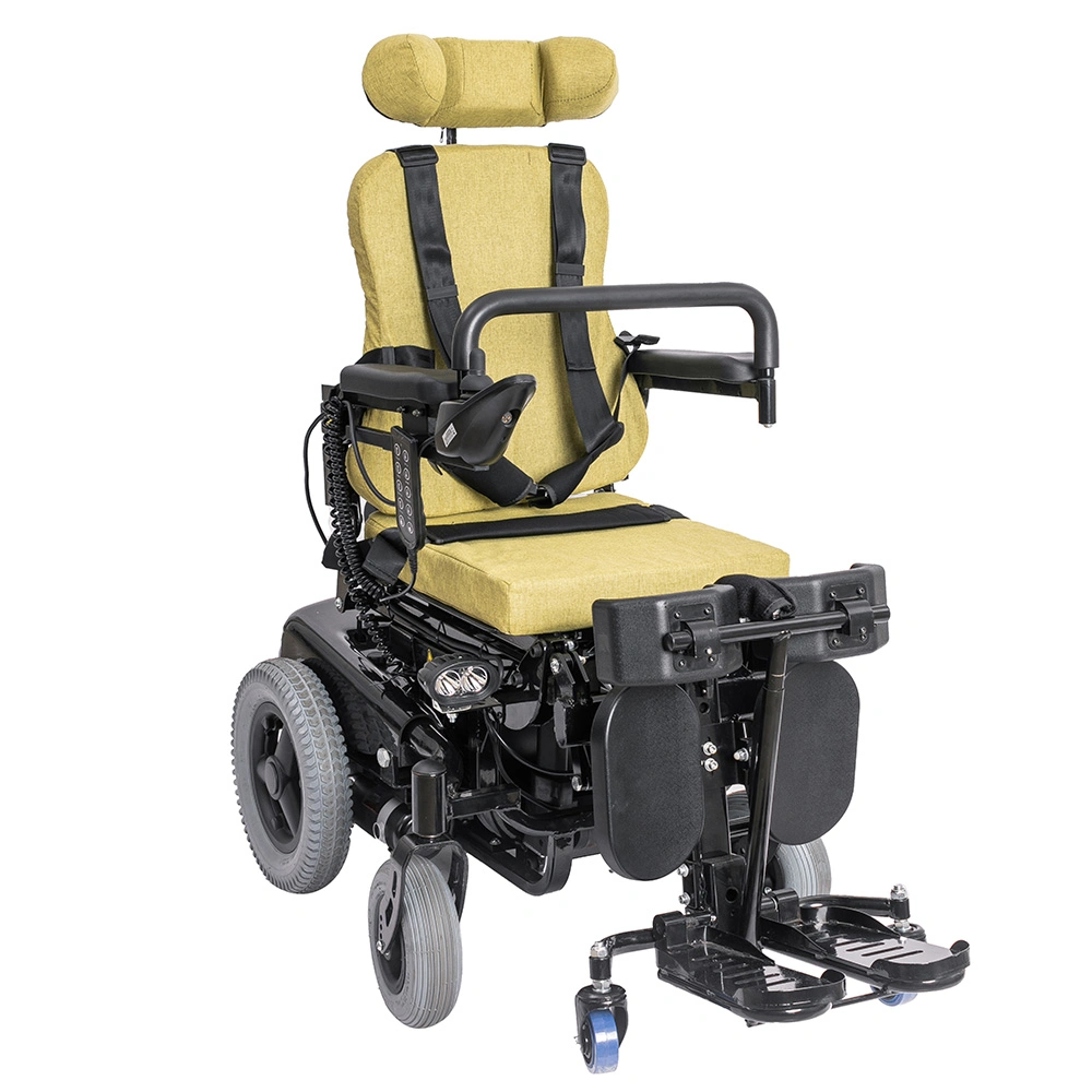 Homecare Reclining High Back Power Lifting Stand up Electric Wheelchair