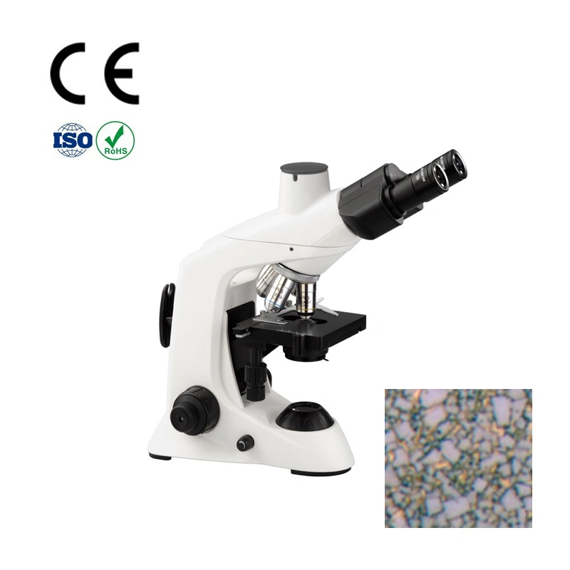 1000X étudiant Instrument Médical pour Portable microscope binoculaire