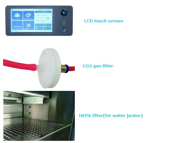 Biobase China CO2 Incubator Bjpx-C80 Electric Automatic High-Temperature-Cell-Culture Laboratory CO2 Incubator 80L