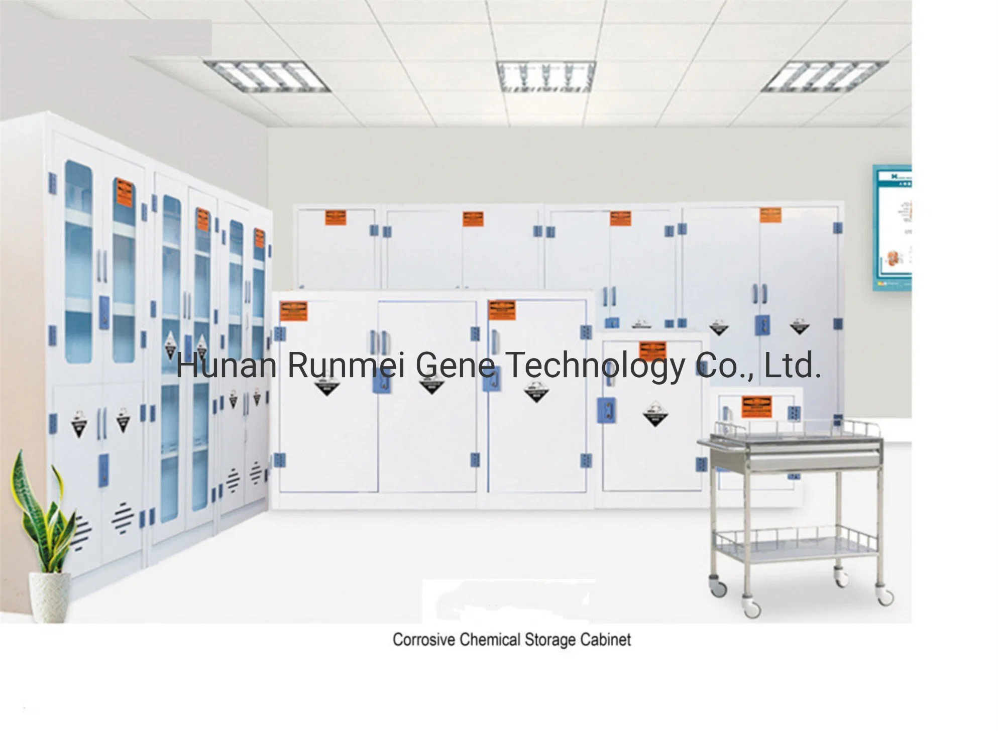 60gallon/226L Strong Acid and Alkali Cabinet, Laboratory Chemical Storage Cabinet, Corrosive Chemical Storage Cabinet