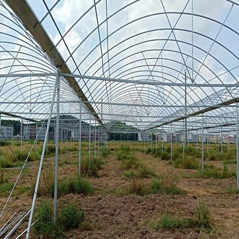 Structure en acier galvanisé Multi-Span/Serre en film plastique avec système d'irrigation hydroponique pour les fraises/les fleurs/les légumes