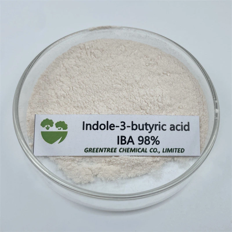 Powder High Quality Natural 3-Indolebutyric Acid