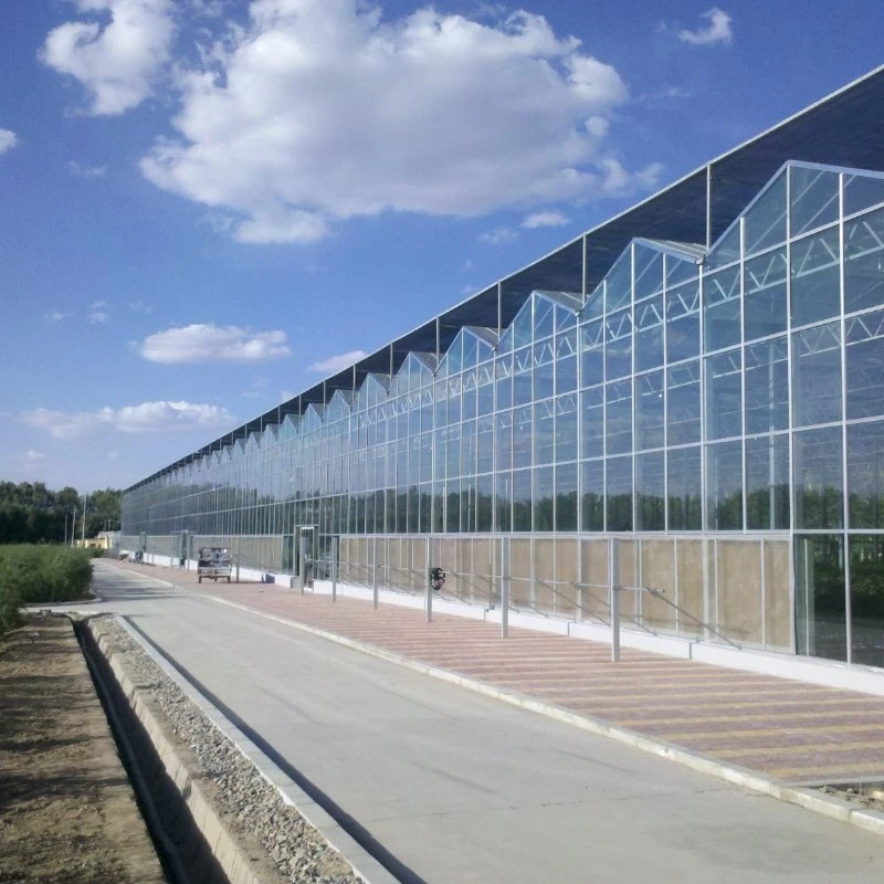 Agricultural Multi-Span Glass Greenhouse with External/Internal Shading System