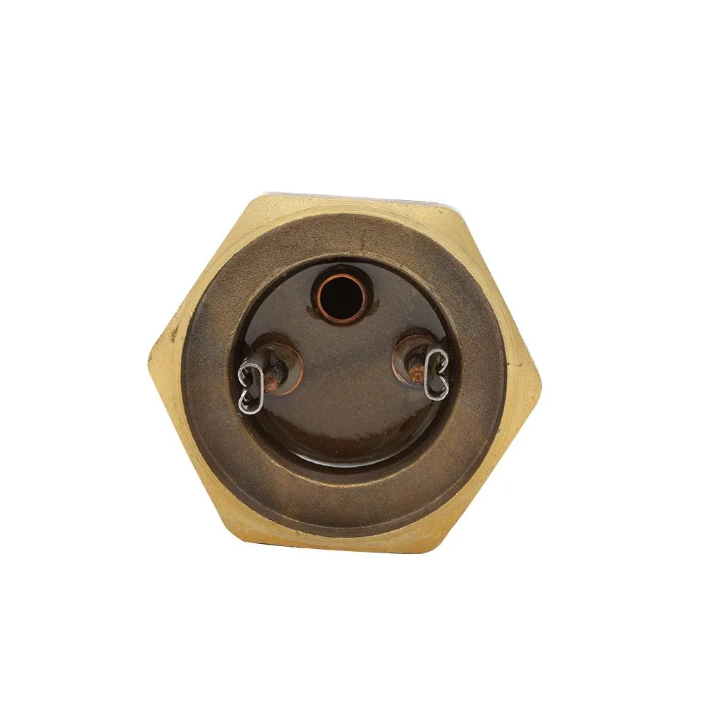 Thermoer Screw-Type Brass Threaded Flange Copper Immersion Heating Element for Water Heater Tank