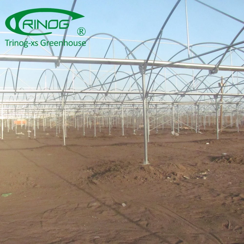 Tropical Multi Span Film Greenhouse for Sale