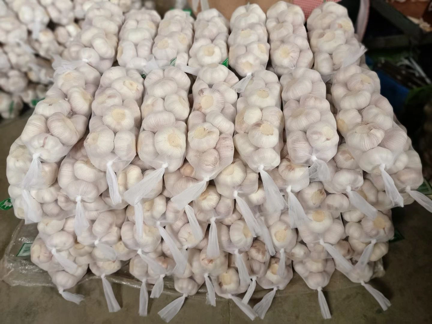 1kg X 10 Garlic 10kg Carton / Normal White Garlic