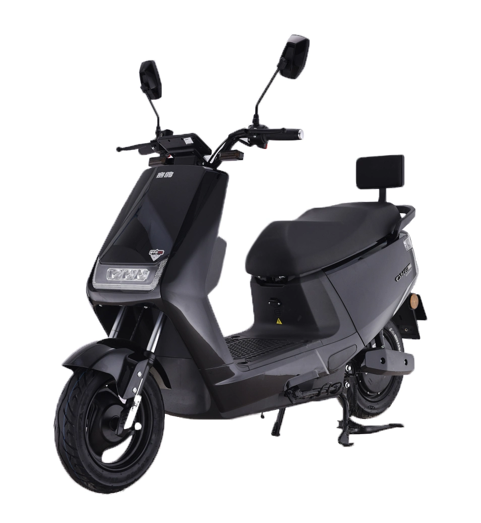 Saige marca N95 motocicleta eléctrica con controlador de tubos de 12