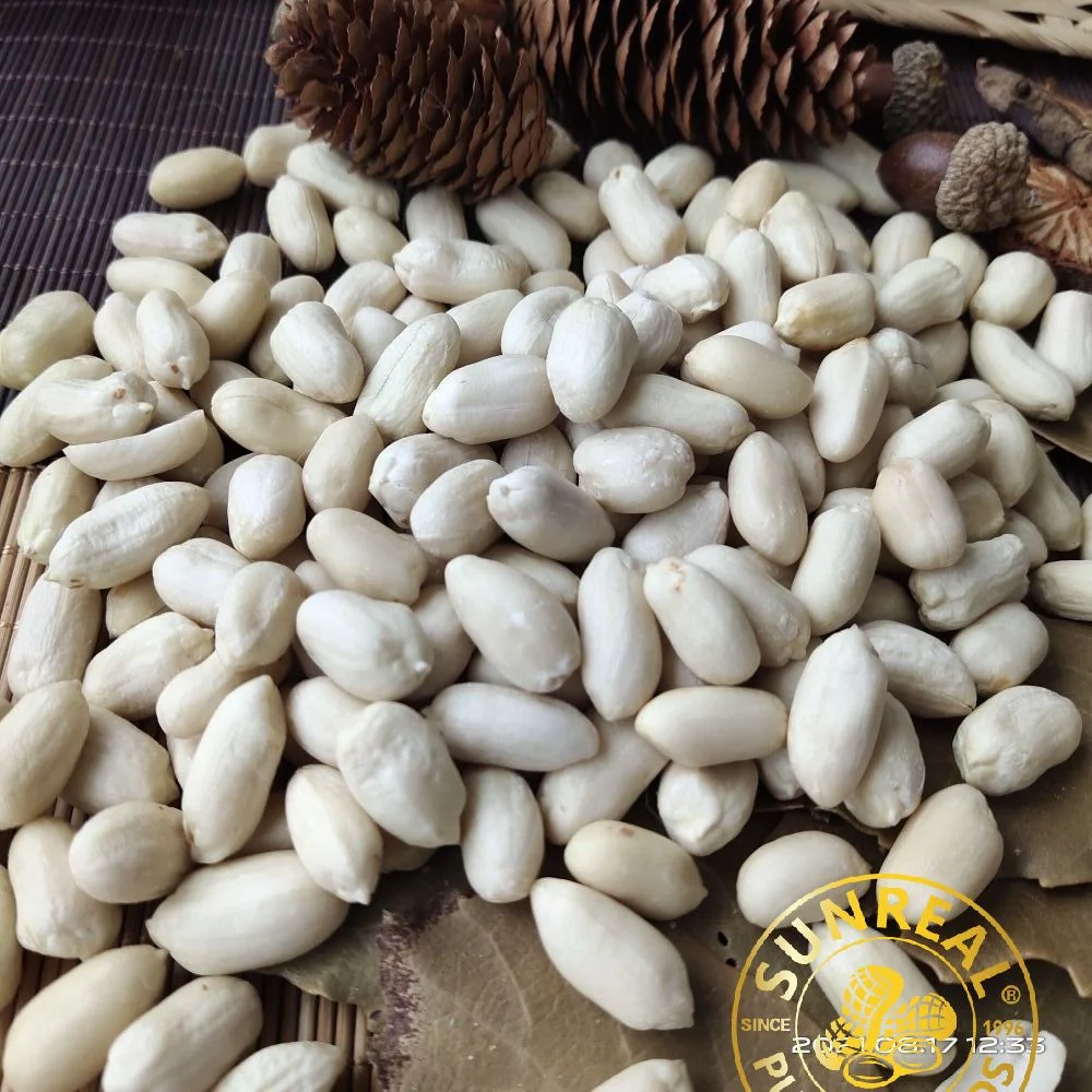 Grains de cacahuète brute blanchis de Chine/ grains de cacahuète de Virginie propres et Plump pour collations