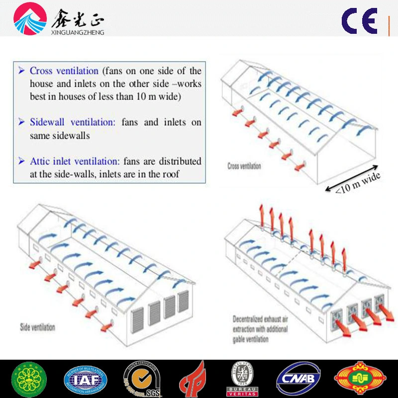 Automatic Cage Rising Broiler Layer Chicken Farm (Q345B/Q235B)