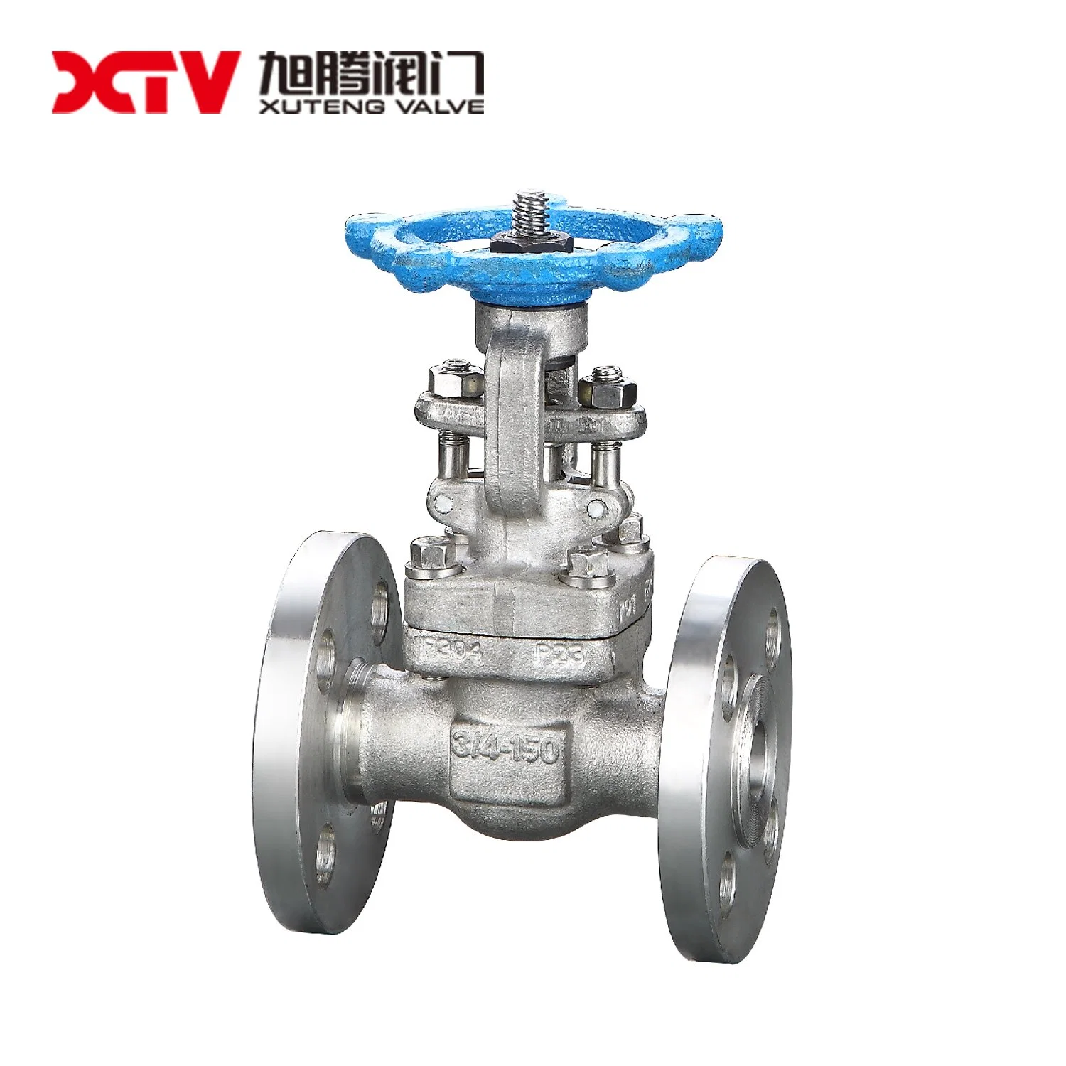 Xtv ANSI Carbon Steel Wedge Type Double Gate Valve