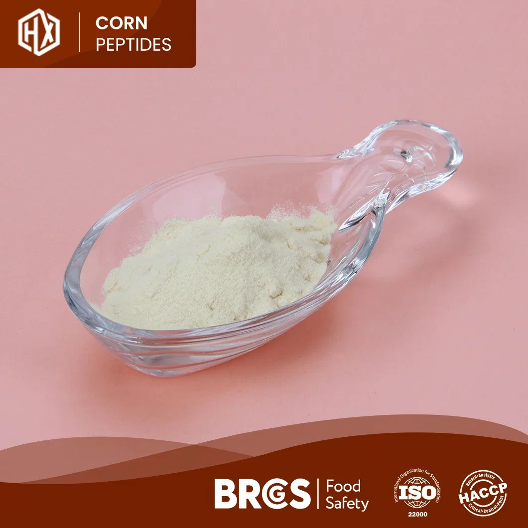 Haoxianco OEM Custom BodyBuilding Pepide Water Soluble Cornuble Pepide Powder الجملة عالية الجودة صغيرة موليكولار نشط الذرة بيبتيد الكولاجين بيبتيد