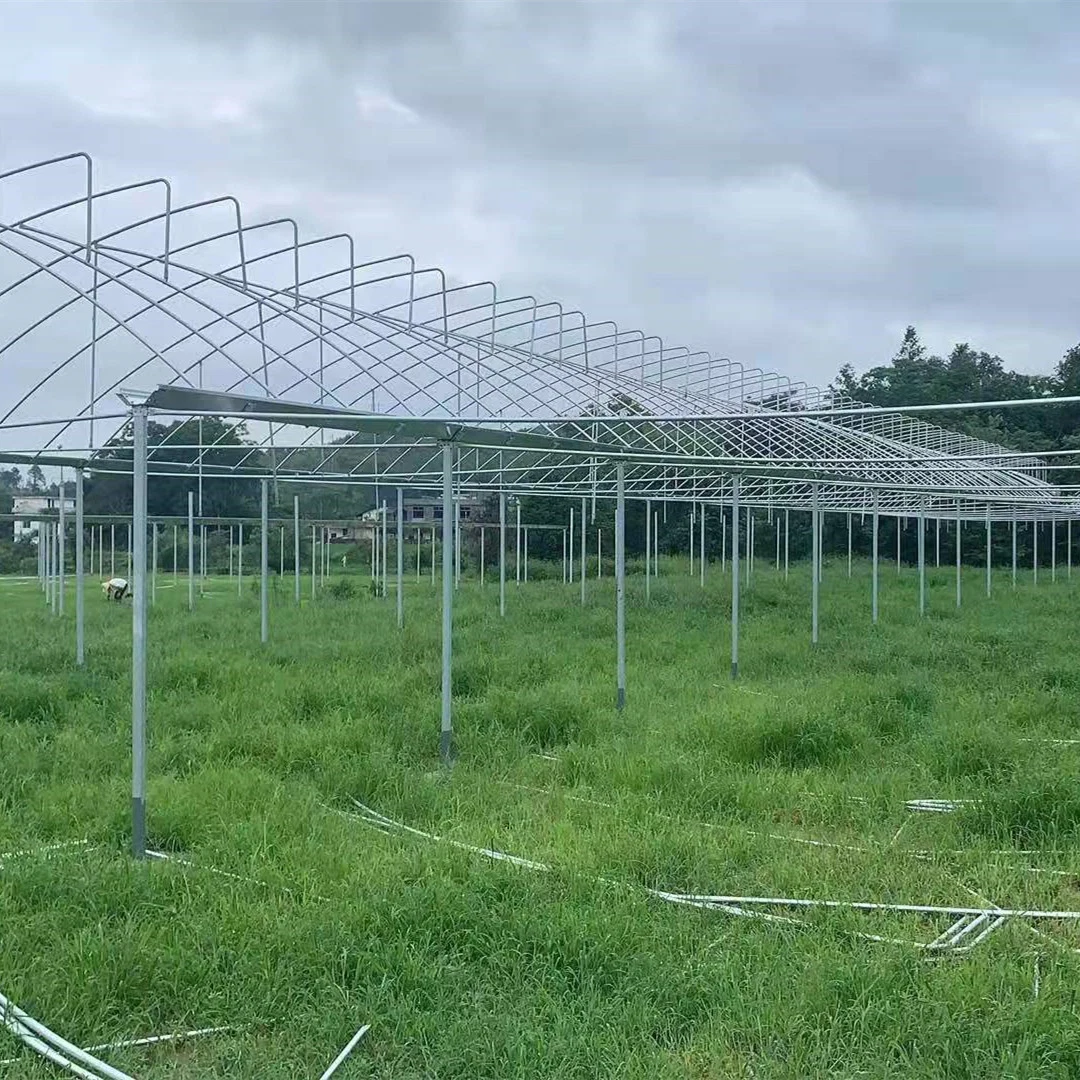 Instalación rápida de acero galvanizado en caliente el esqueleto Poly-Tunnel Casa Verde con techo cenital para una buena ventilación para las Verduras