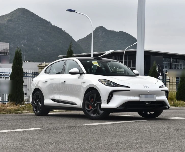 Good Quality Ls6 EV SUV China Luxury Electric Sports Car Performance