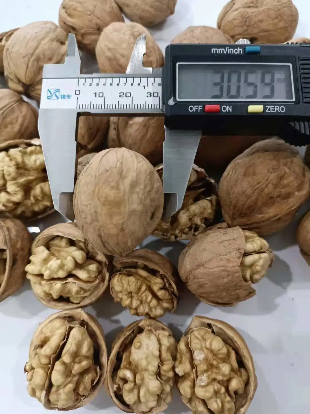 Xinjiang 185 Walnuts Peeling Export and Import Buyers Wholesale/Supplier