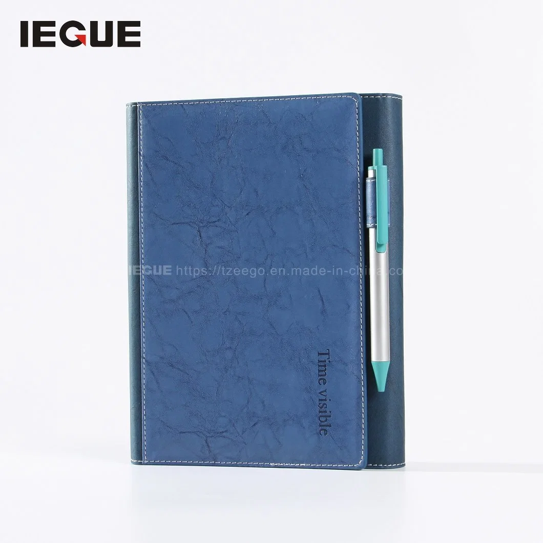 Wholesale/Supplier 2023 Diary Custom Organizer Stationery Fancy Leather A4 A5 Natural Logo Print Notebook with 6 Ring