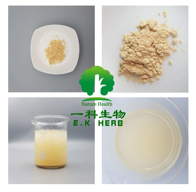 E. K Herb Organic Ginseng Root Extract 5%~80% Ginsenosides Panax Ginseng Extract