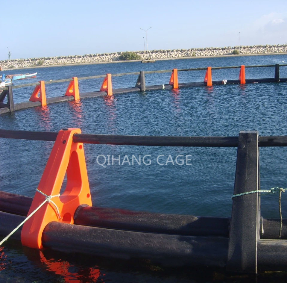 HDPE Fish Farm Cage for Intensive Farming in The Sea or Lake