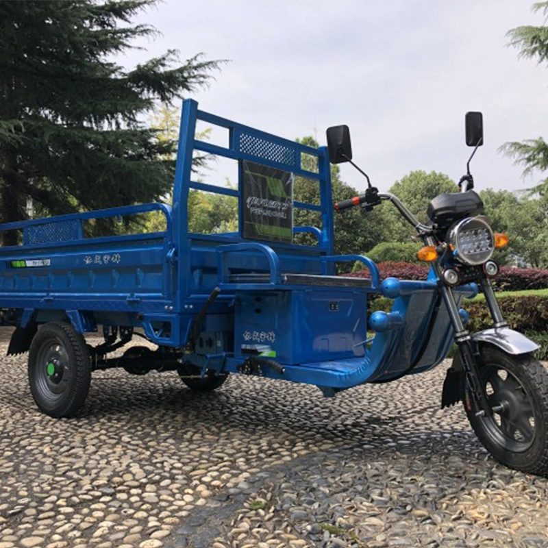 Triciclo eléctrico chino de alta calidad de transporte agrícola High-Power Eléctricos vehículo eléctrico de la carga de montaña Montaña Rey Rey Vehículo Eléctrico Home