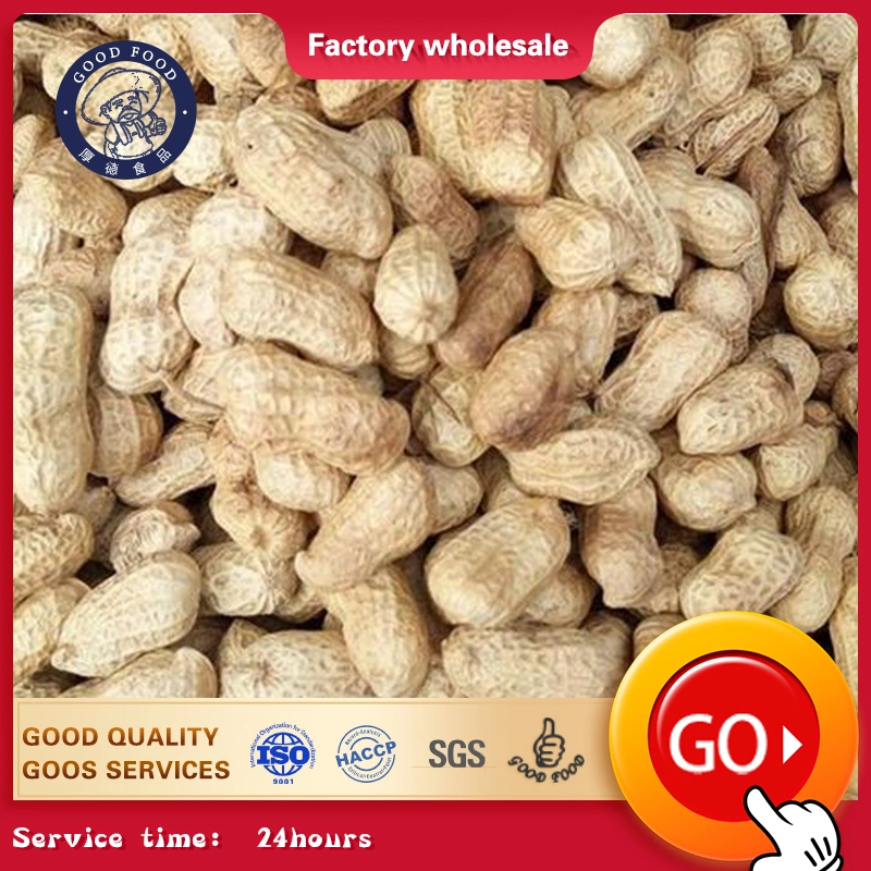 Nature Garlic Taste Roasted Blanched Kernel Peanuts in Shell