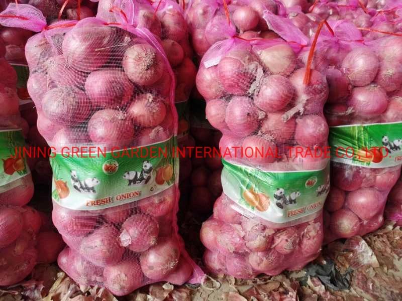 2021 Fresh Red Onion Fresh Red Skin Onion China Shallot 3-7cm,5-8cm,7-9cm,9cm & up Pack in 20kg,10kg,5kg Mesh Bag Fro Wholesale Direct Producer Supply Exporter