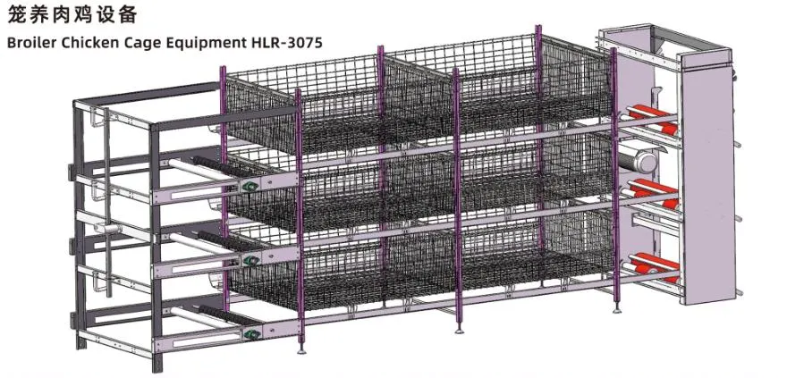 Equipo automático de la Avicultura jaulas en batería de la capa de pollo