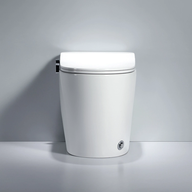 Bidet Bowl for Norml Toilet