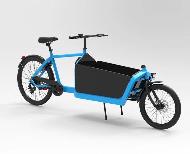 250W Hub Motor Electric Bicycle Pedal 2 Wheel Bakfiets 7 Speed Steel Bike Frame Dutch Cargo Bike with for Child