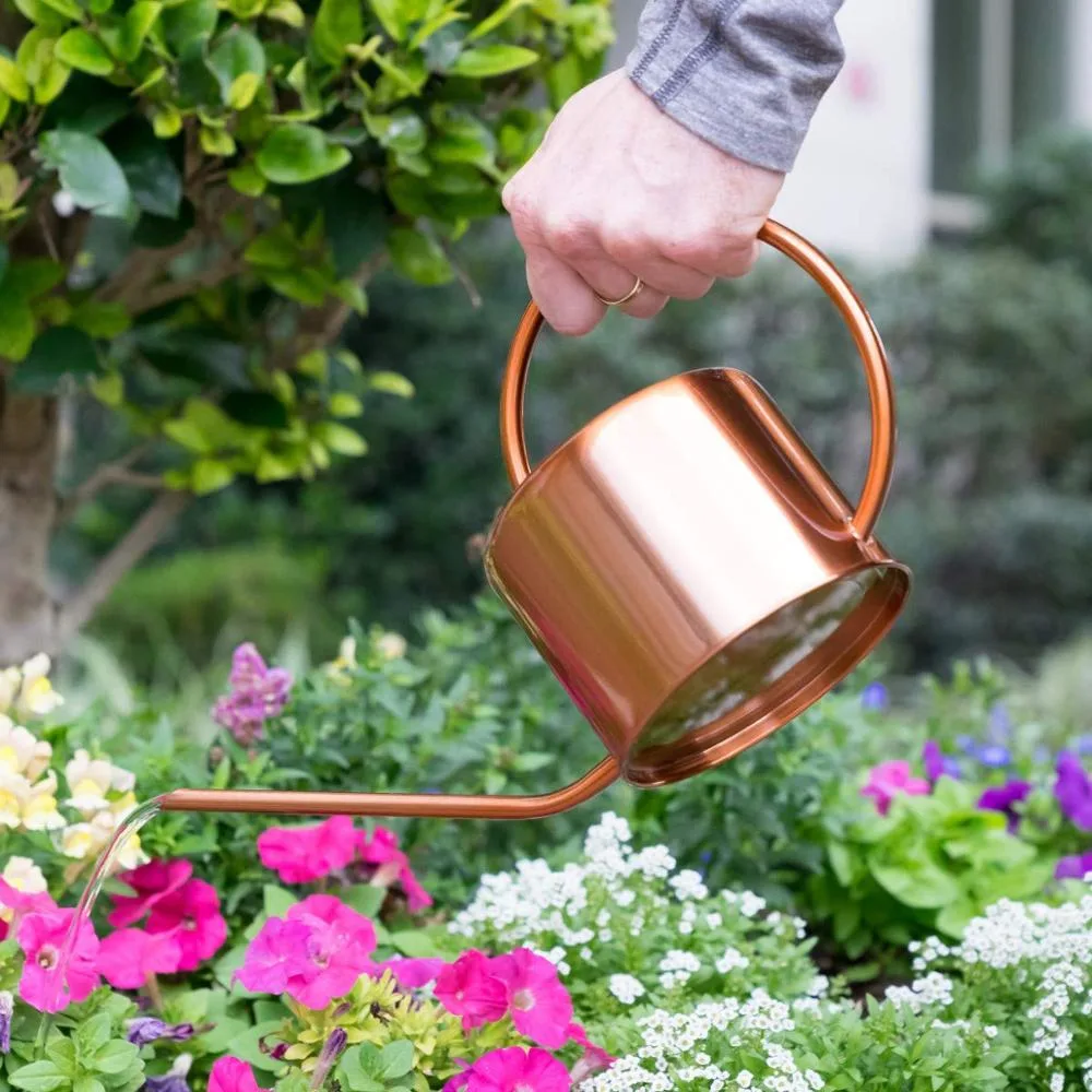 1L Metal Stainless Steel Watering Can with Copper Painting