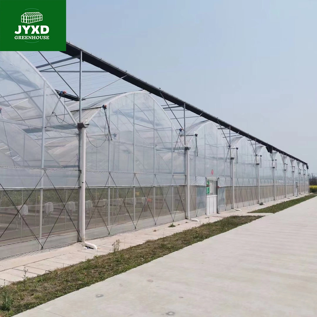 Modern Agriculture Plastic Film Multi-Span Greenhouse for Vegetables/Fruits/Flowers/Tomato