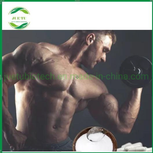 Nutrition Material/Supplement Creatine Monohydrate Powder/White Crystalline Powder/High quality/High cost performance /Good Price/Factory Wholesale/Supplier/Insoluble in Ethanol