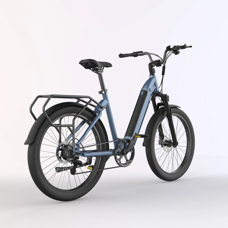 China OEM 26inch Step Through Electric Bicycle