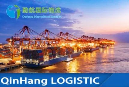 China Shipping Agent Drop Shipping Service Sea Freight From China to UK Germany