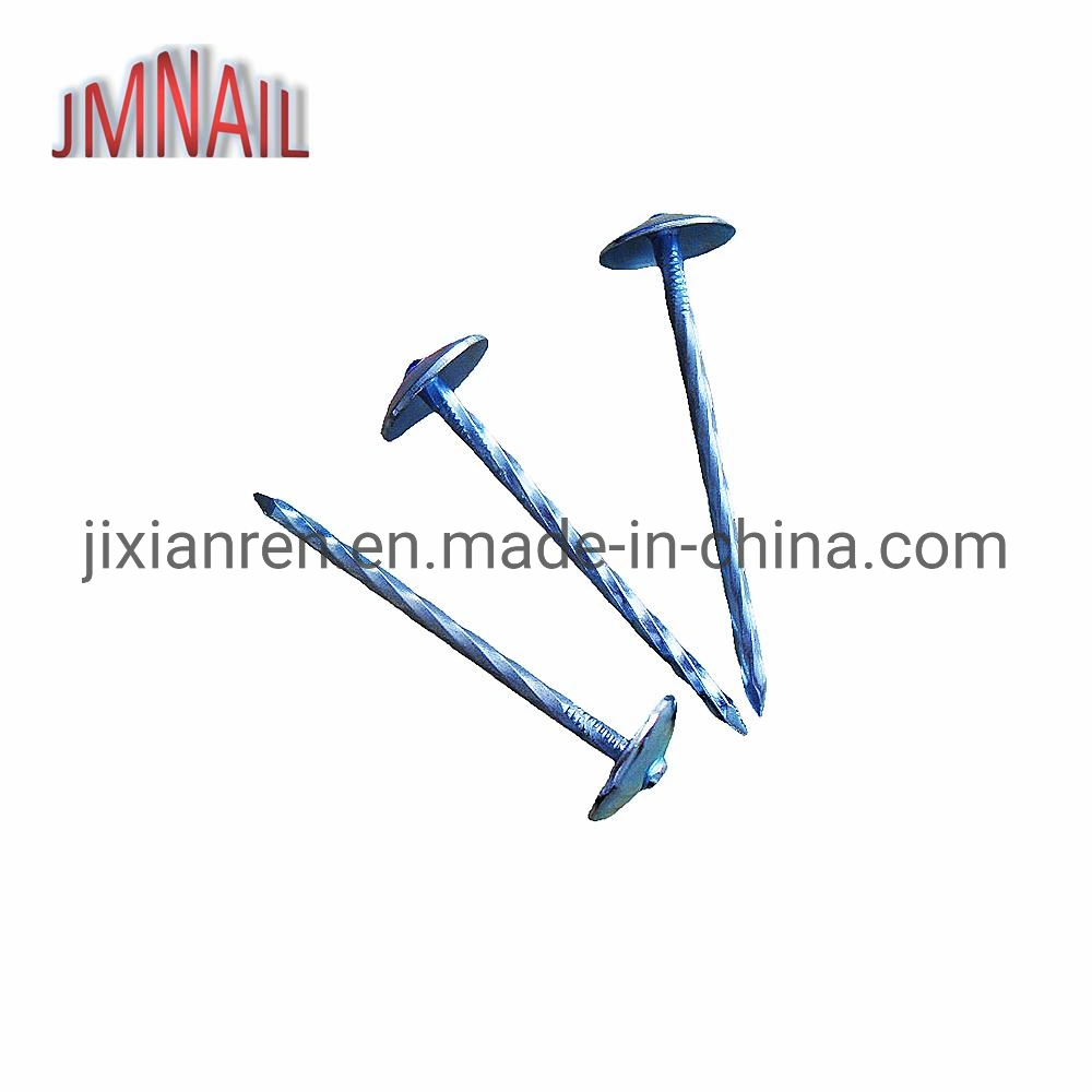 Roofing Nail, Umbrella Head Roofing Nail, Roofing Nail with Umbrealla Head