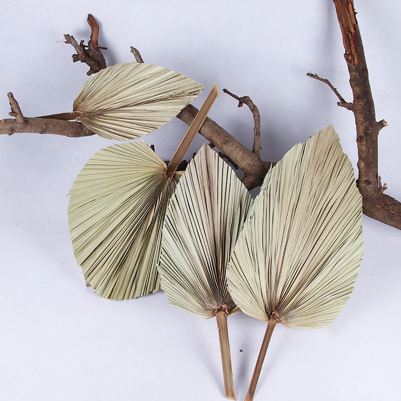 Artificial Centerpiece Leaf Natural Plant PU Fan Leaf Banana Palm Leaf Dry Flower Arrangement