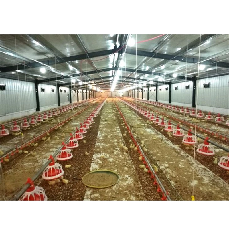 Fast Assemble Steel Structure Chicken Use Poultry House/Chickend Farm/ Broiler Chicken House